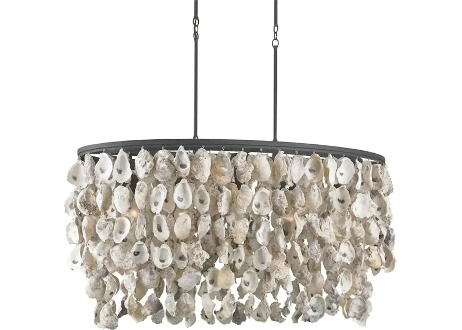 Stillwater Oyster Shell Oval Chandelier