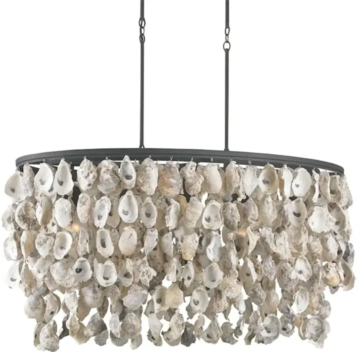 Stillwater Oyster Shell Oval Chandelier