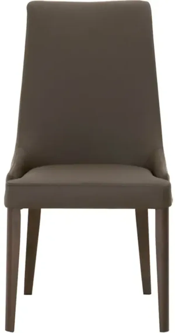 Aurora Dining Chair, Set of 2