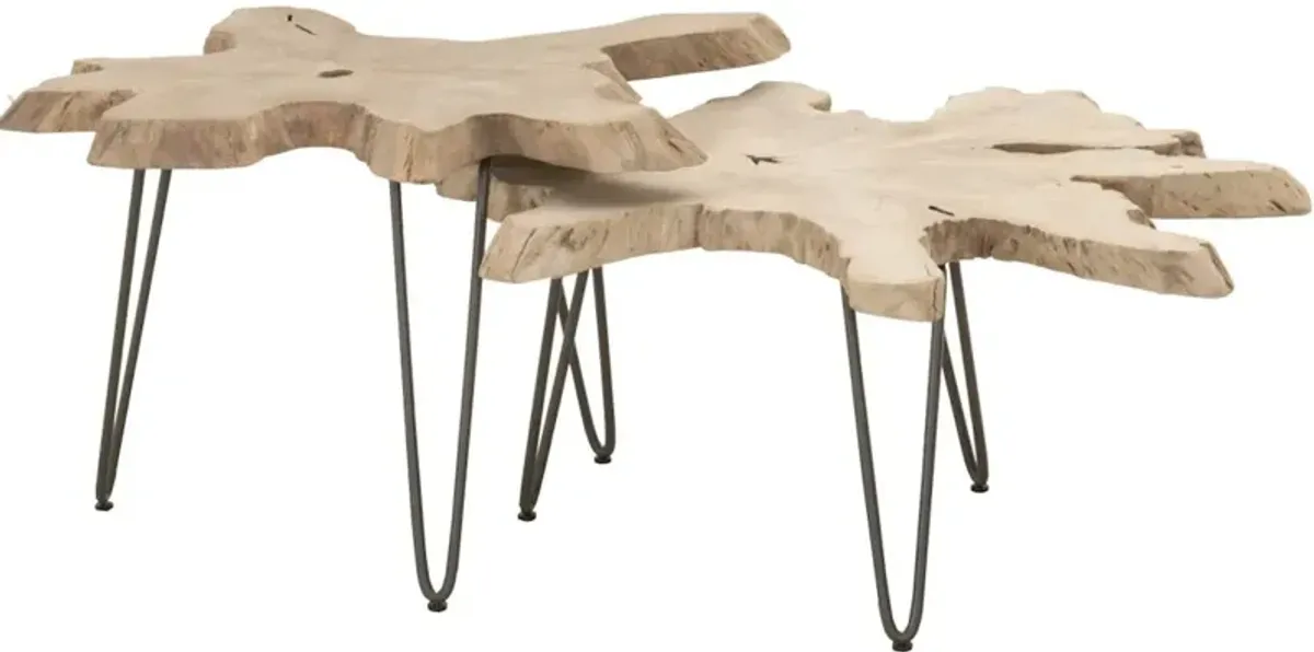 Drift Nesting Coffee Table