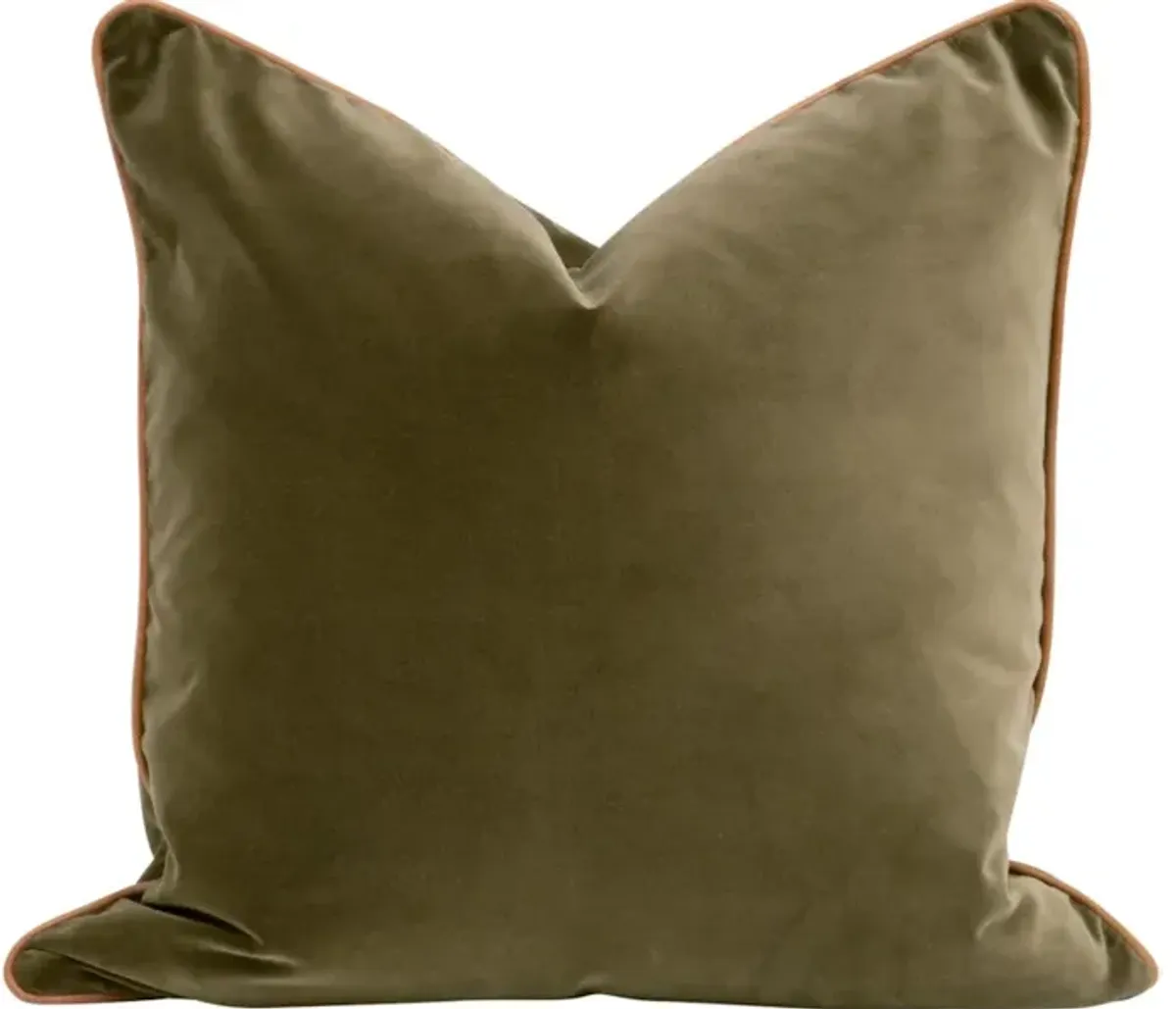 The Not So Basic 22 Essential Pillow, Set of 2