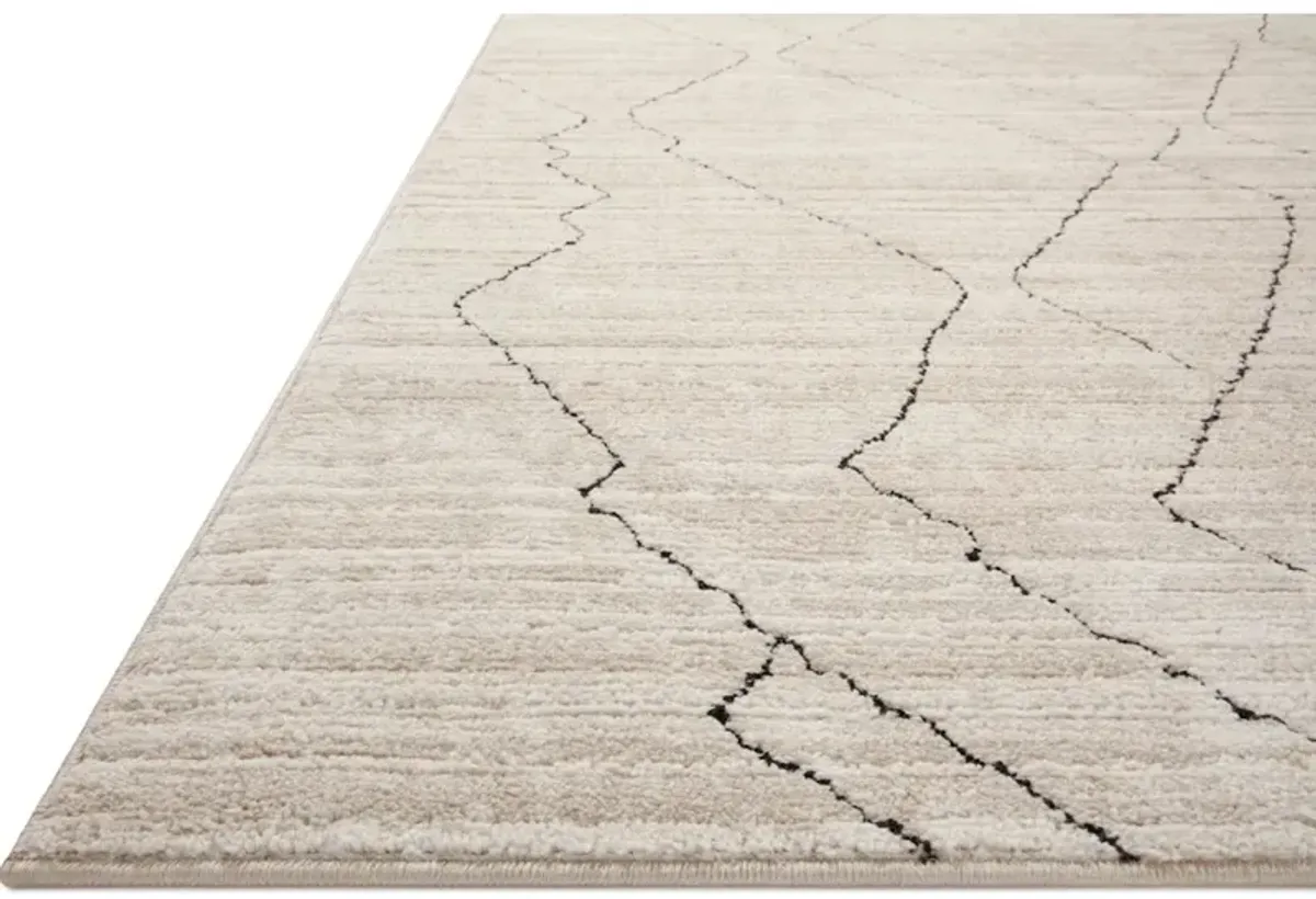 DARBY DAR-03 SAND/CHARCOAL 6'7 X 9'3 AREA RUG
