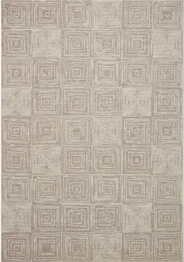 DARBY DAR-05 BEIGE/GREY 6'7 X 9'3 AREA RUG