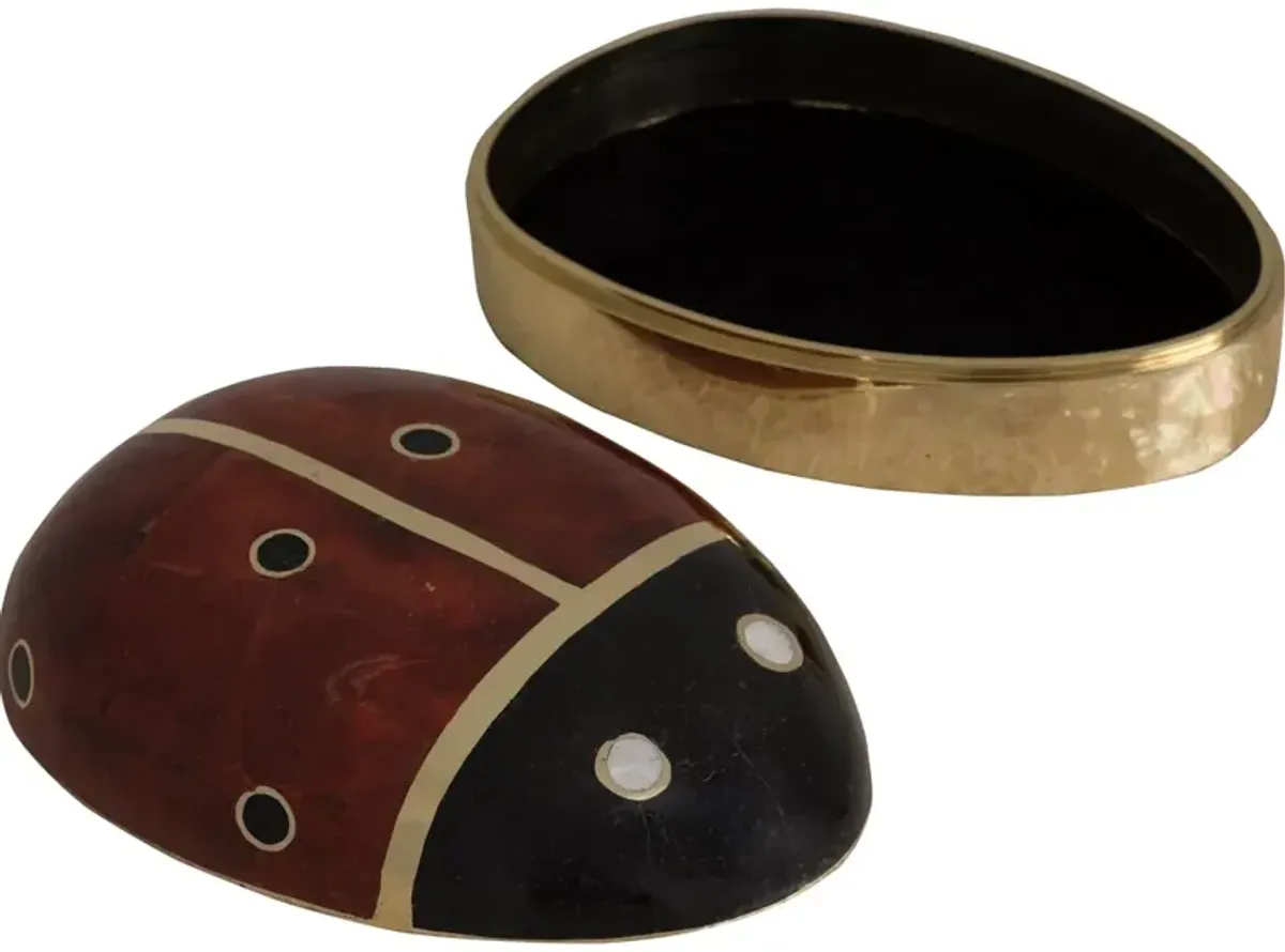 Ladybug Box