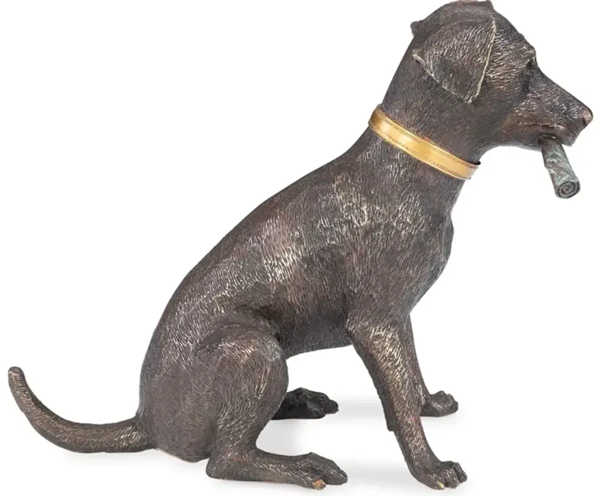 Labrador Smoking A Cigar