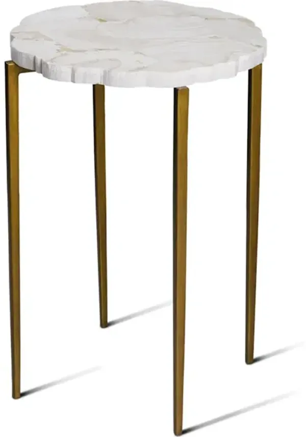 Fossil Top Accent Table (Sh07-123118)