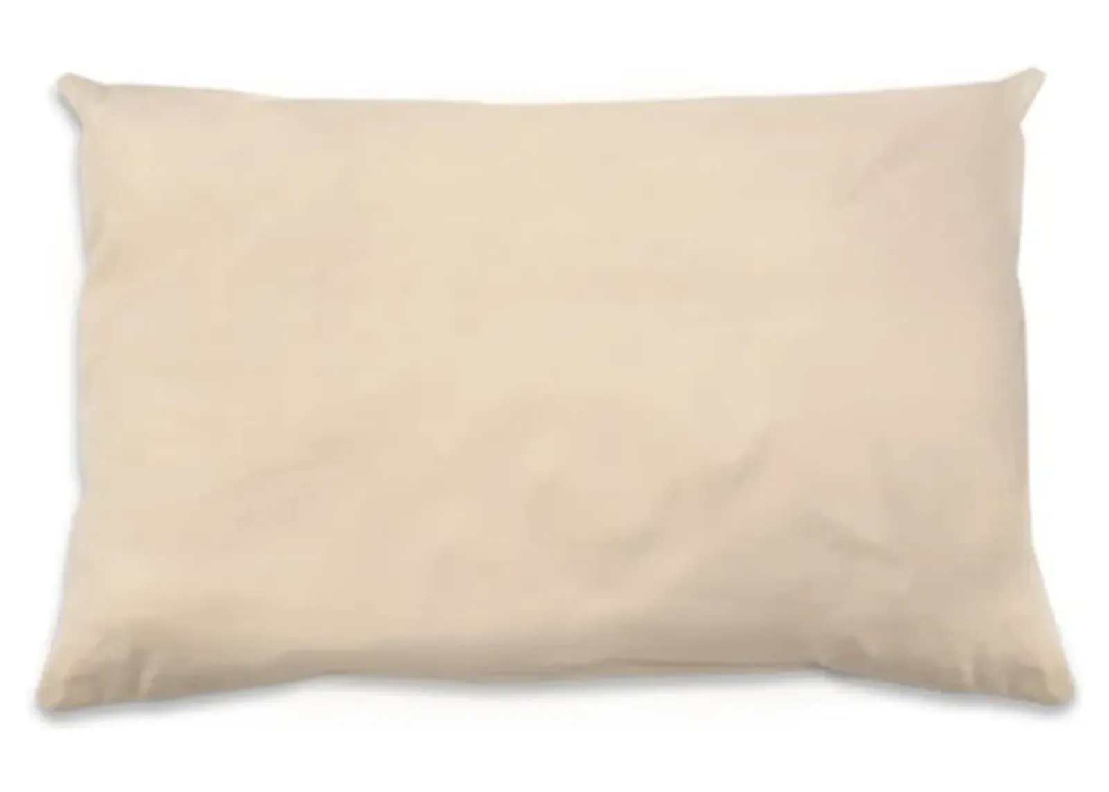 Organic Cotton/PLA Pillow - Standard Size Low Fill