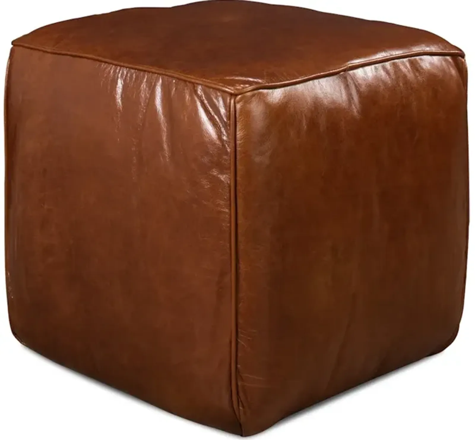 Leather Sitting Cube