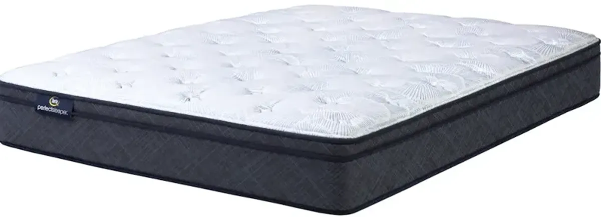 Perfect Sleeper Adoring Night 11 Plush Euro Top Mattress -Twin