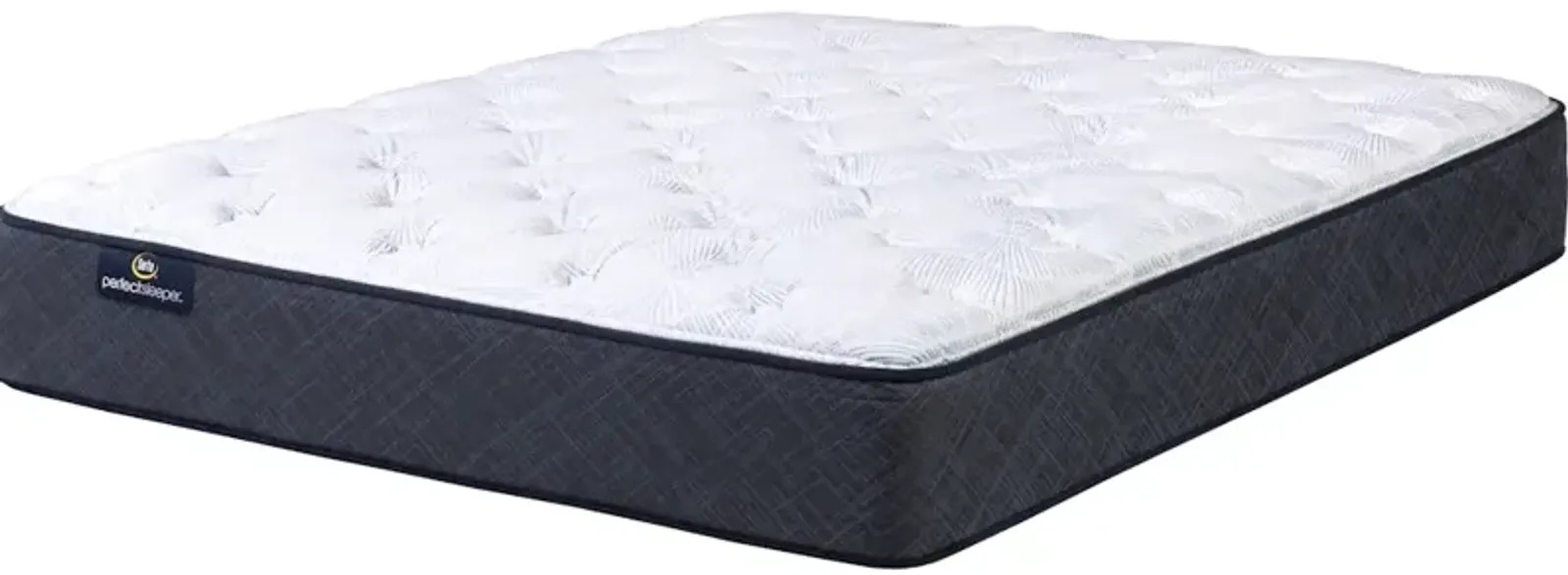 Perfect Sleeper Adoring Night 10.5 Plush Mattress -Twin