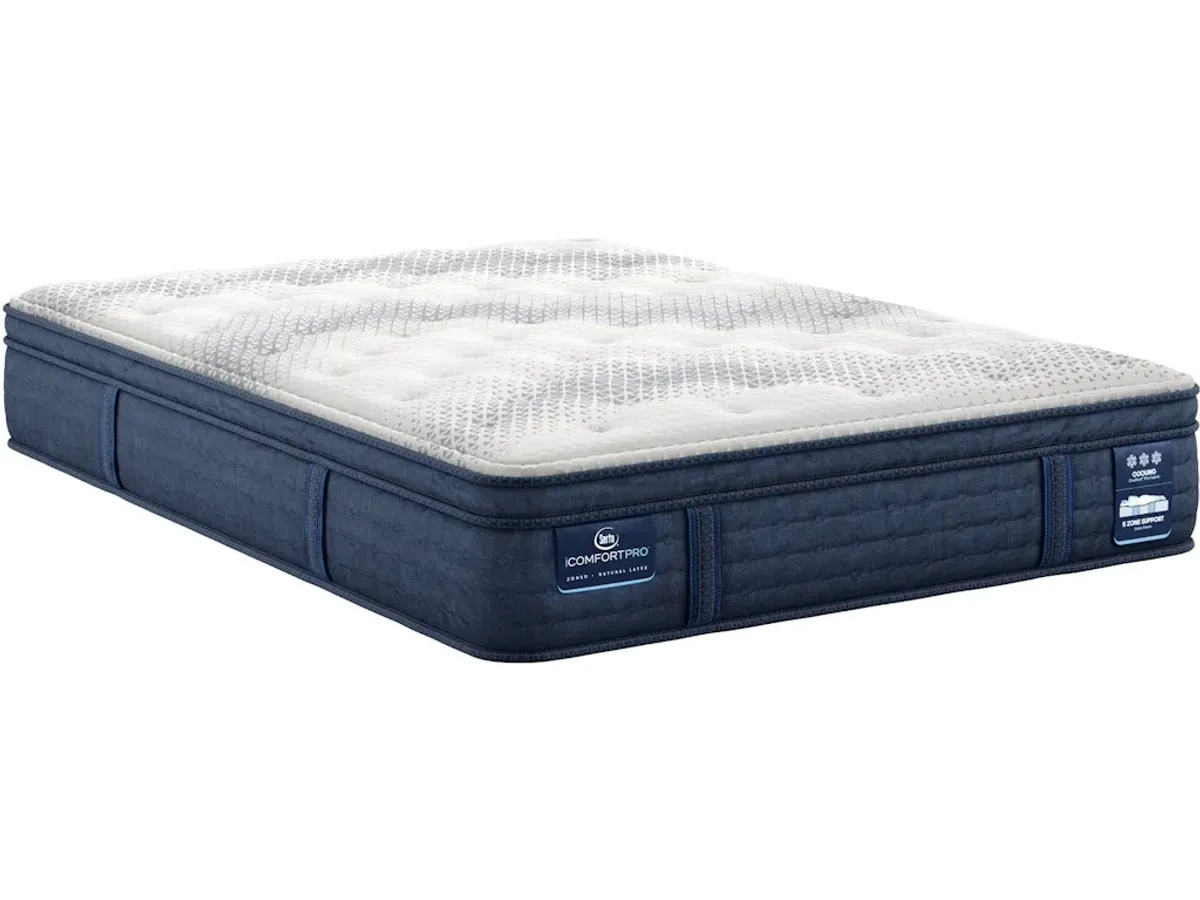 Dartmouth Plush Pillow Top Queen