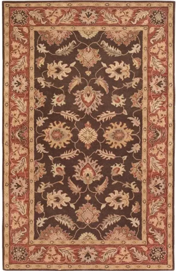 Caesar CAE-1036 5' x 8' Rug