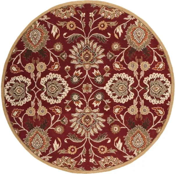 Caesar CAE-1061 9'9 Round Rug