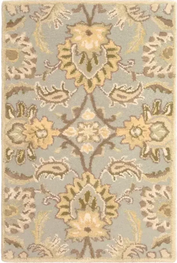 Caesar CAE-1111 2' x 3' Rug