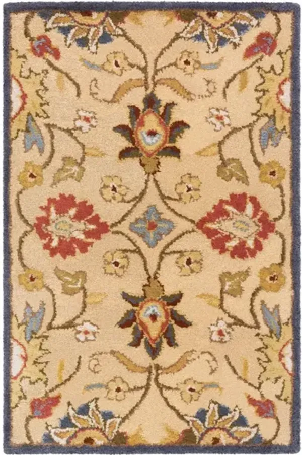 Caesar CAE-1116 2' x 3' Rug