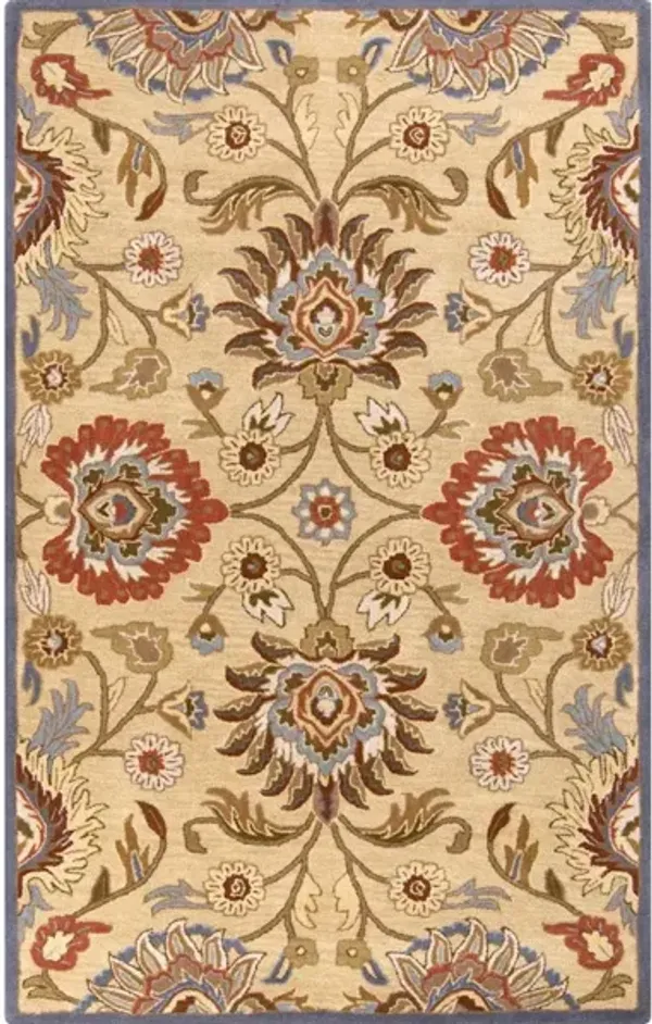Caesar CAE-1116 5' x 8' Rug