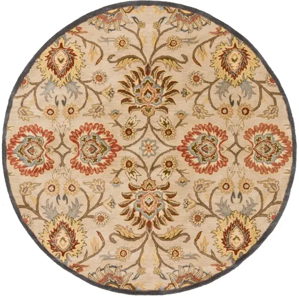 Caesar CAE-1116 8' Round Rug