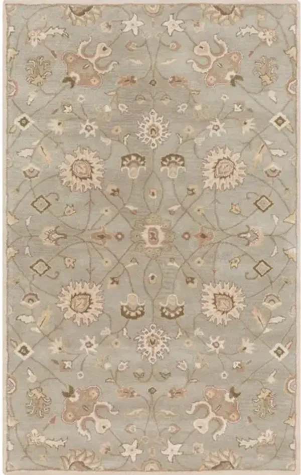 Caesar CAE-1121 5' x 8' Rug