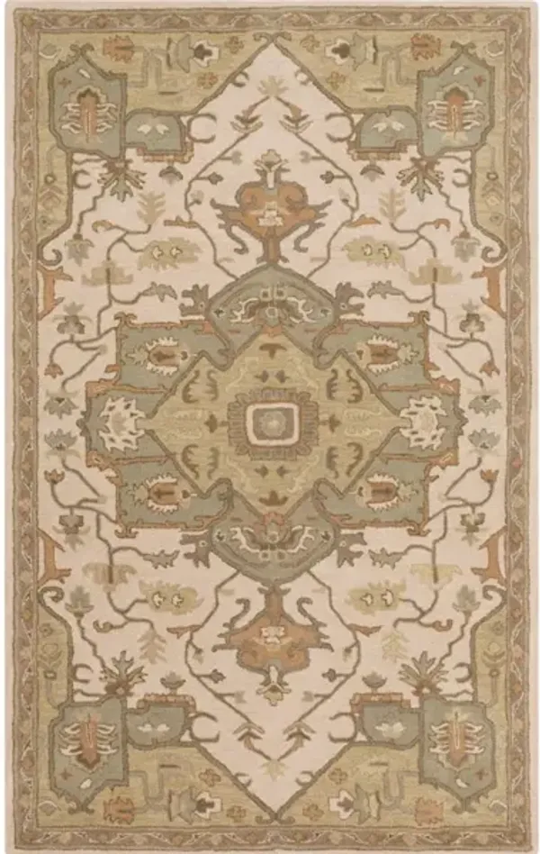 Caesar CAE-1143 5' x 8' Rug