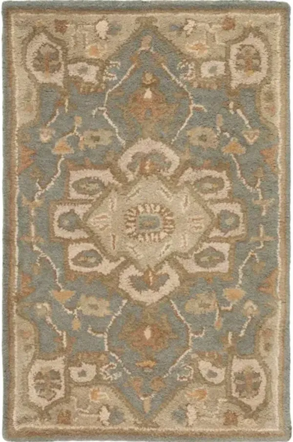 Caesar CAE-1144 2' x 3' Rug