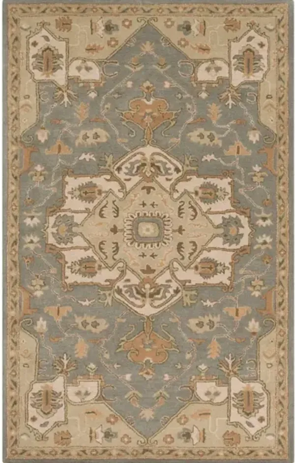 Caesar CAE-1144 5' x 8' Rug