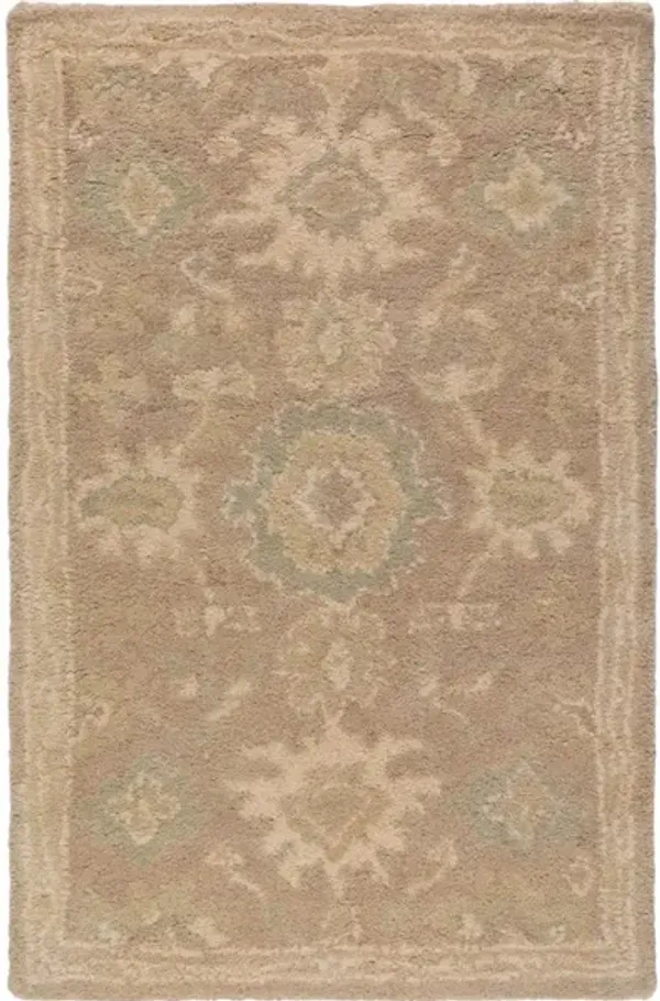 Caesar CAE-1149 2' x 3' Rug