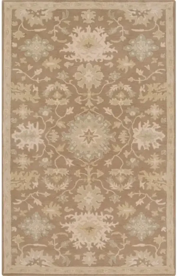 Caesar CAE-1149 5' x 8' Rug