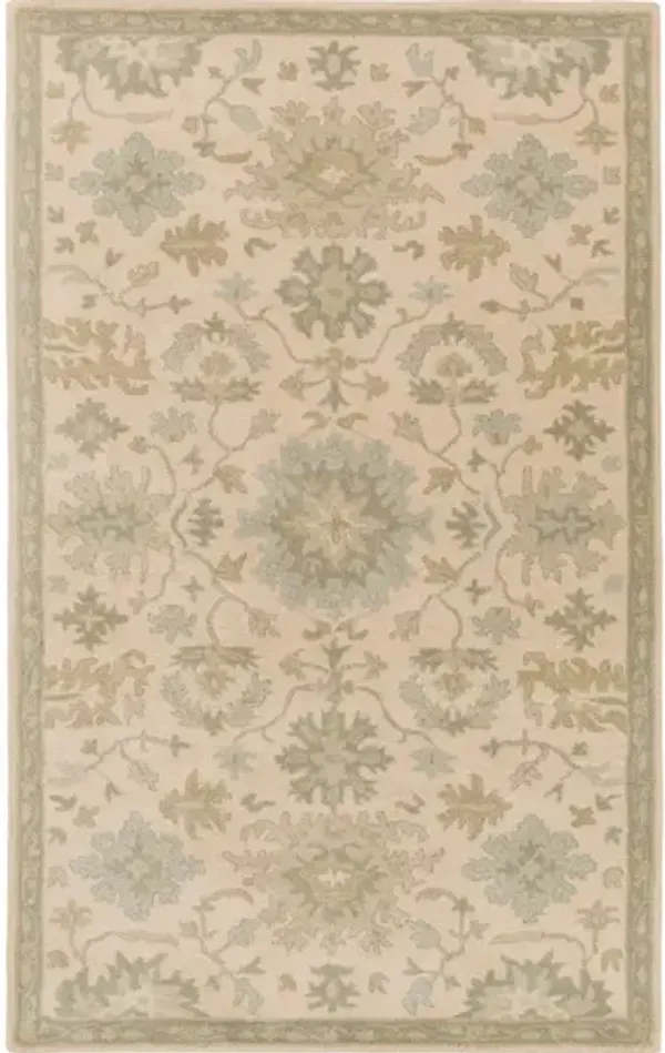 Caesar CAE-1161 5' x 8' Rug
