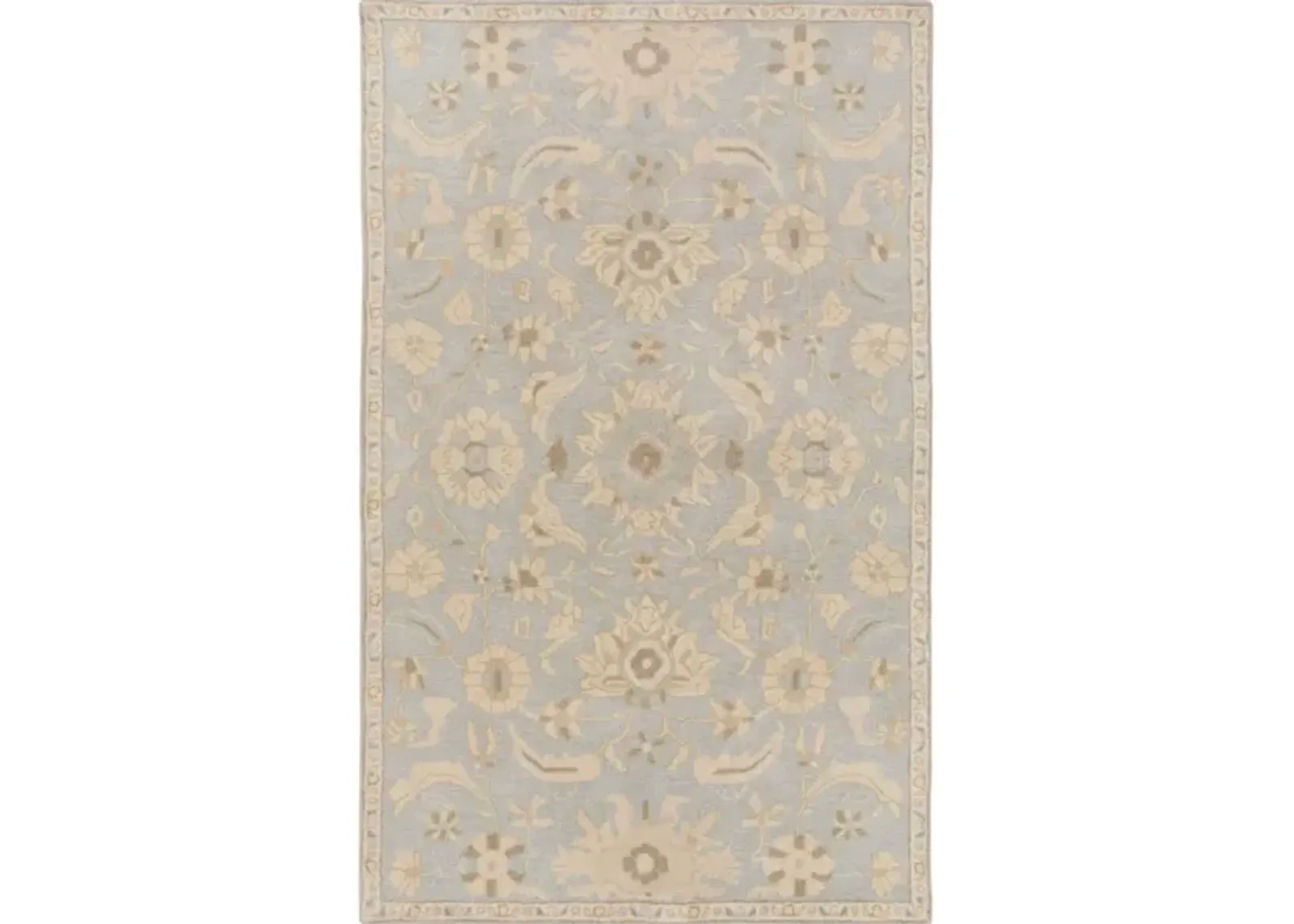 Caesar CAE-1162 4' x 6' Rug