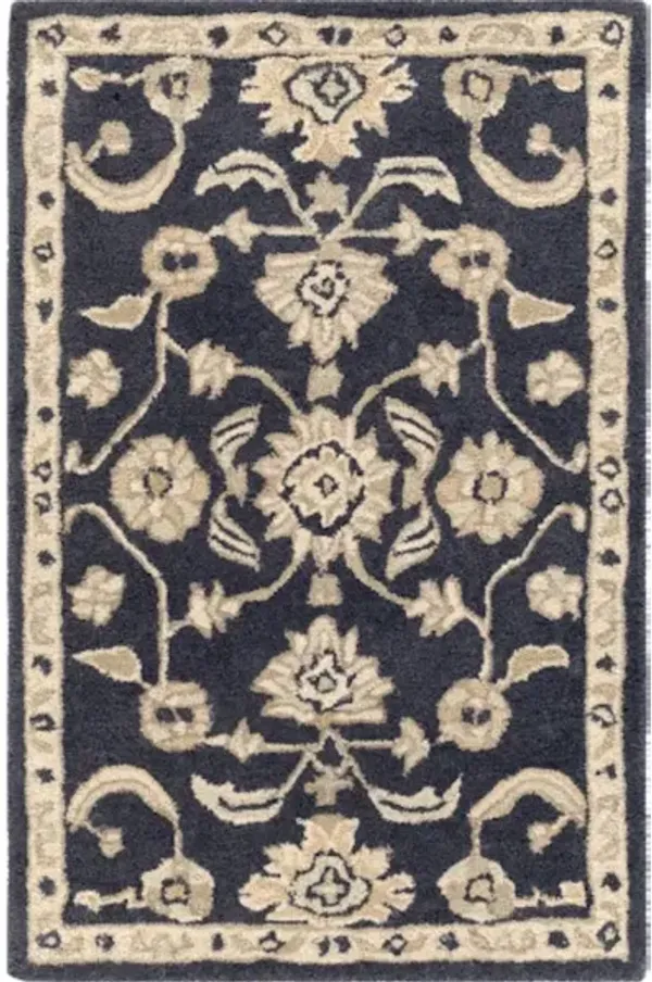 Caesar CAE-1164 2' x 3' Rug