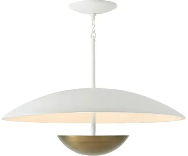 Floyd Pendant Light