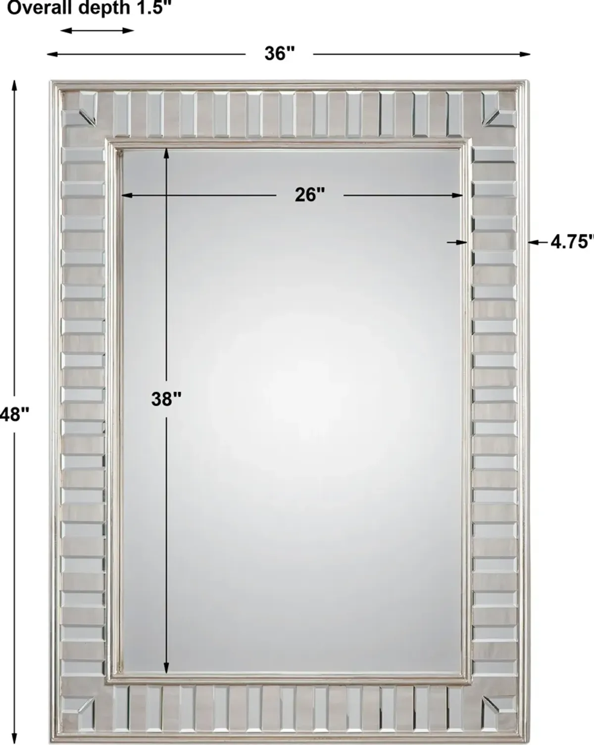 Lanester Silver Leaf Mirror
