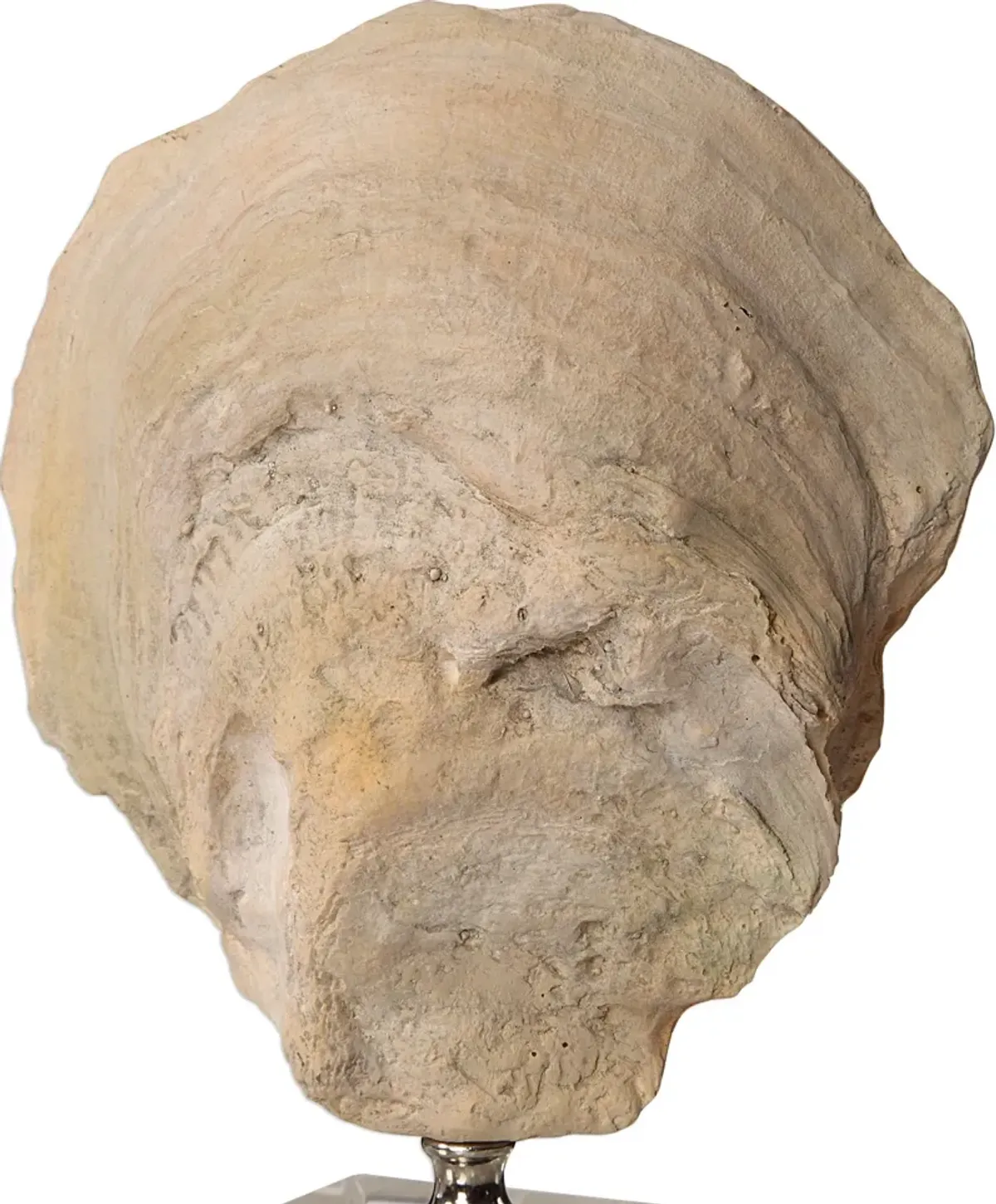 Oyster Shell Sculptures Set/2