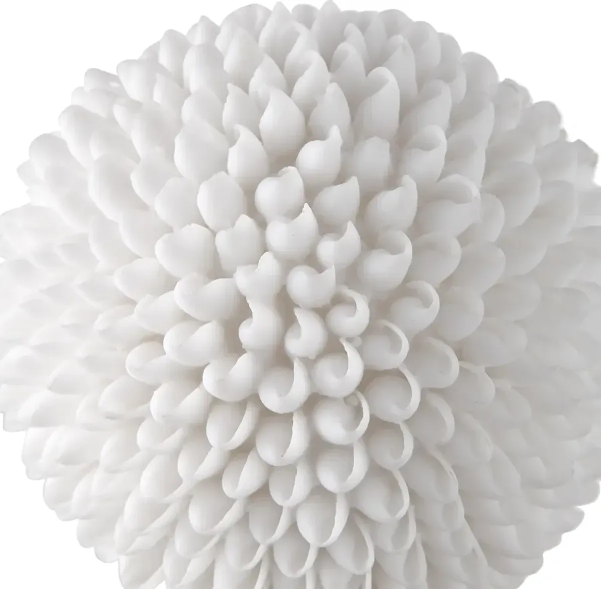 Cascara White Sculpture