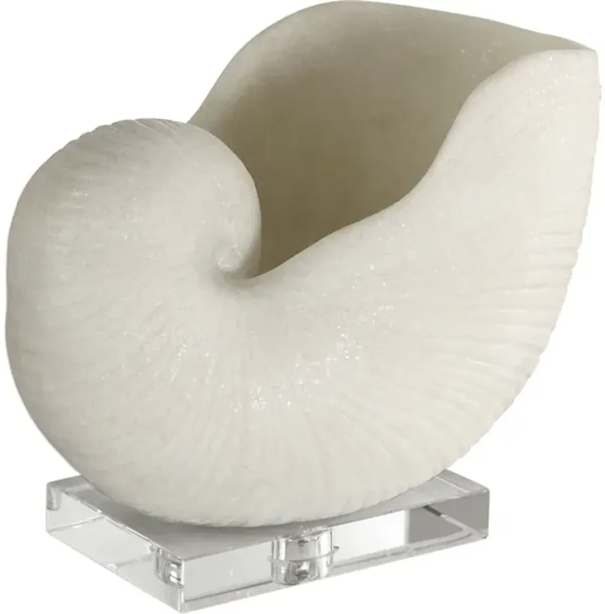 Nautilus Shell Sculpture
