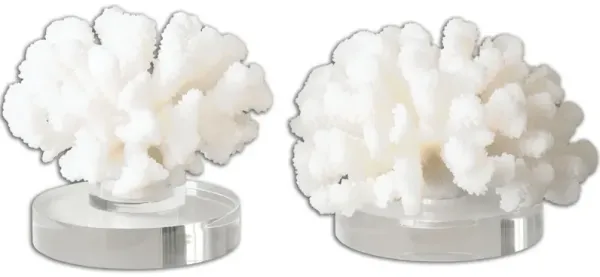 Hard Coral Sculptures, S/2
