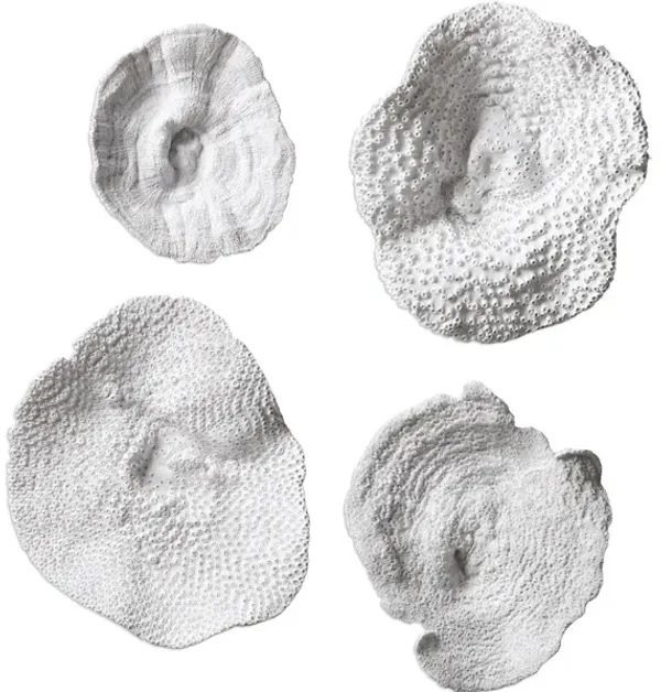 Sea Coral Wall Art Set/4