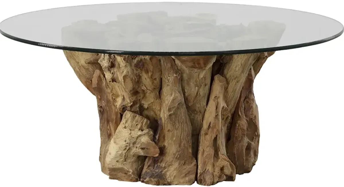 Driftwood Glass Top Large Coffee Table