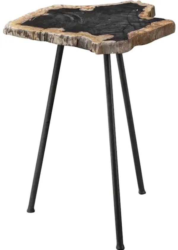 Mircea Petrified Wood Accent Table