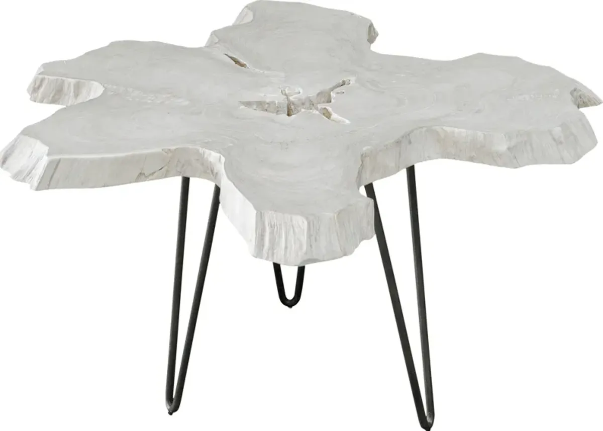 Trillium Bleached Teak Coffee Table