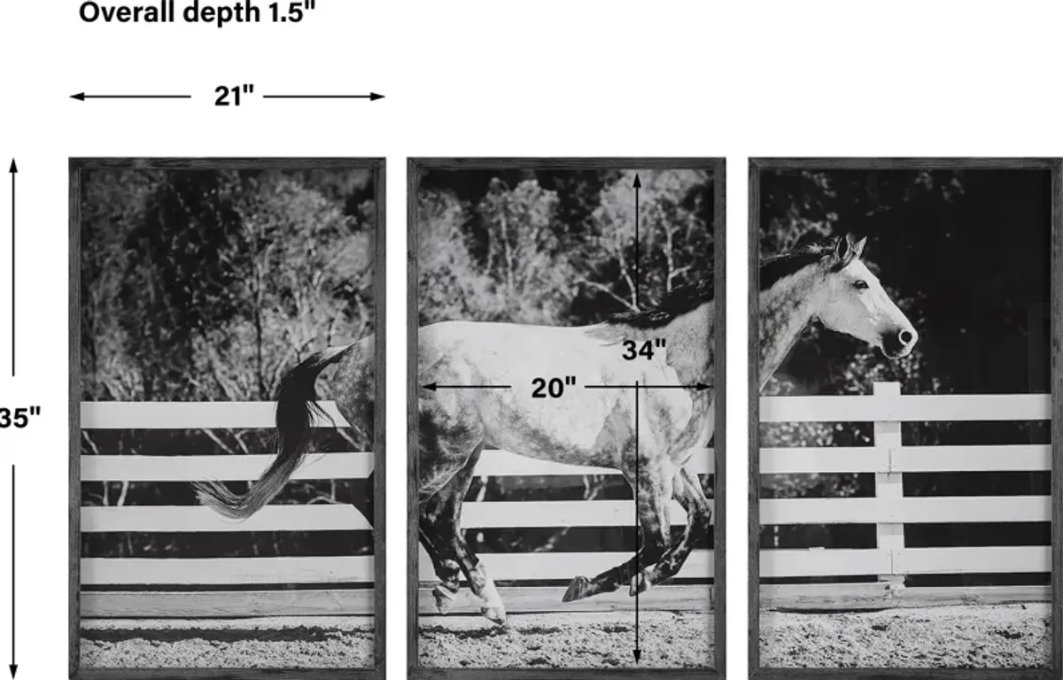 GALLOPING FORWARD FRAMED PRINTS, S/3