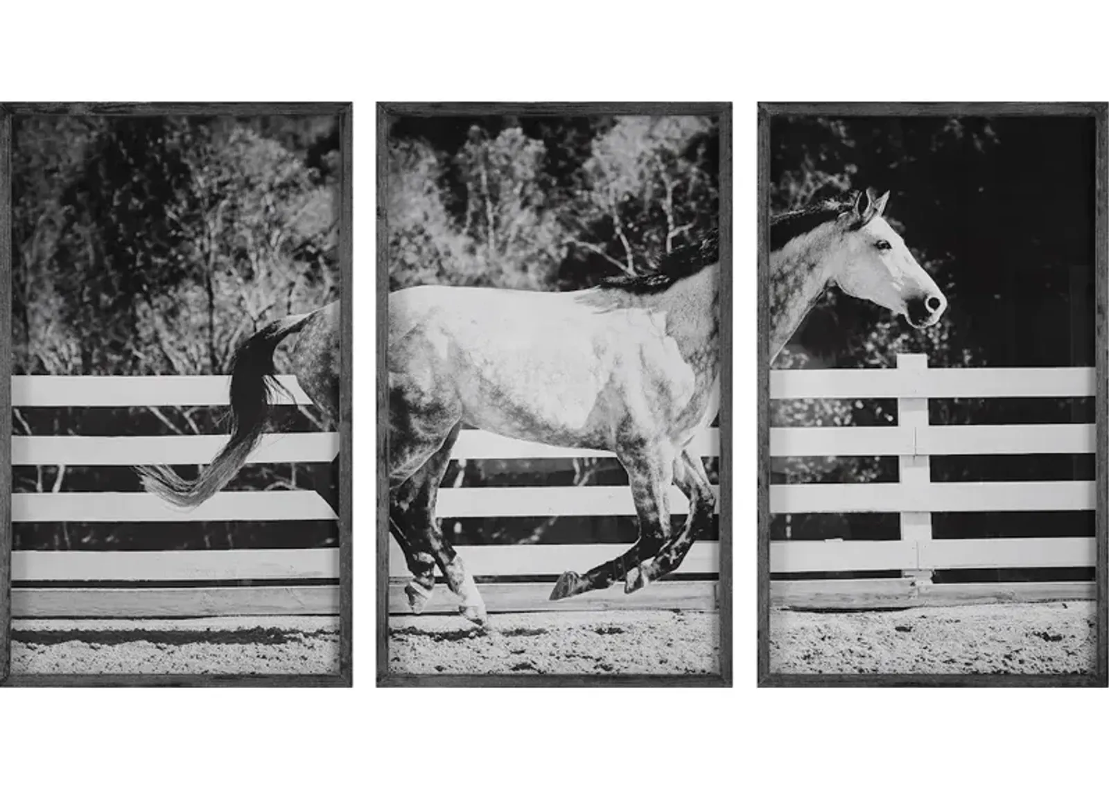 Galloping Forward Equine Prints, Set/3