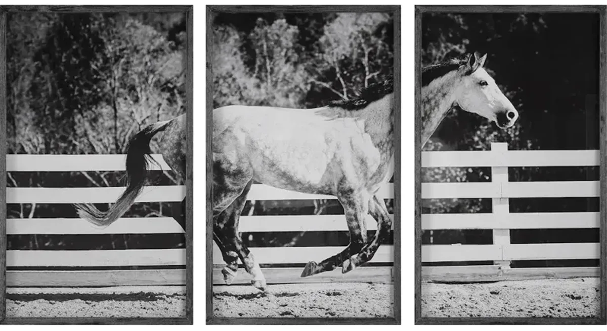 Galloping Forward Equine Prints, Set/3