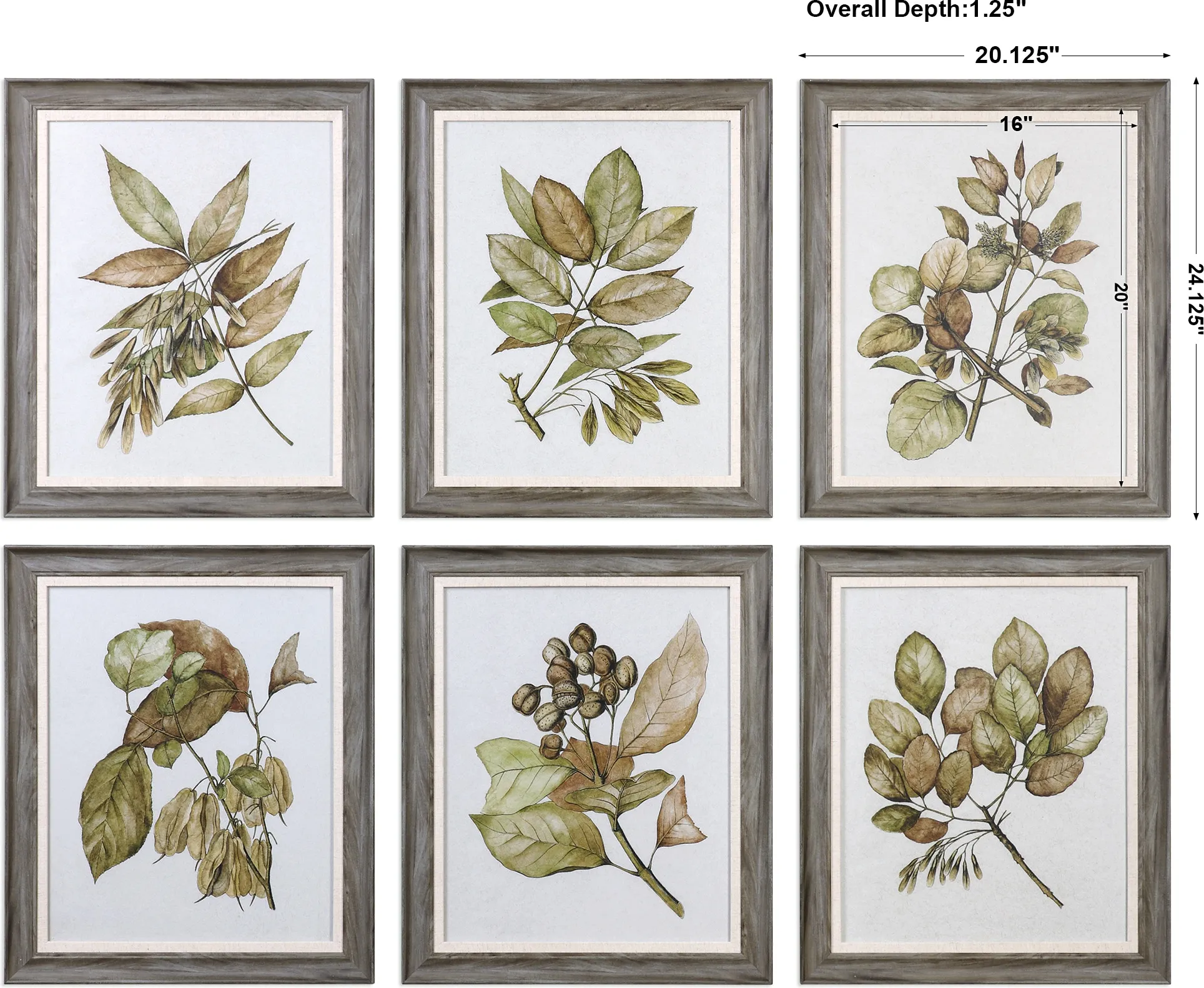 Seedlings Framed Prints S/6