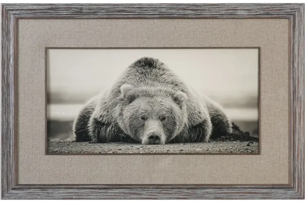 Deep Sleep Bear Print