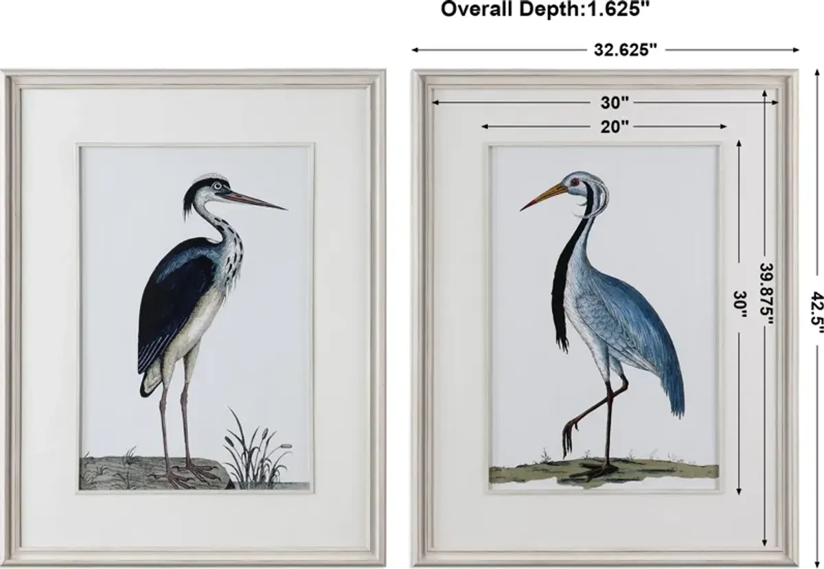 Shore Birds Framed Prints Set/2