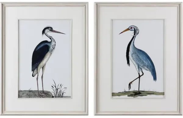 Shore Birds Framed Prints Set/2