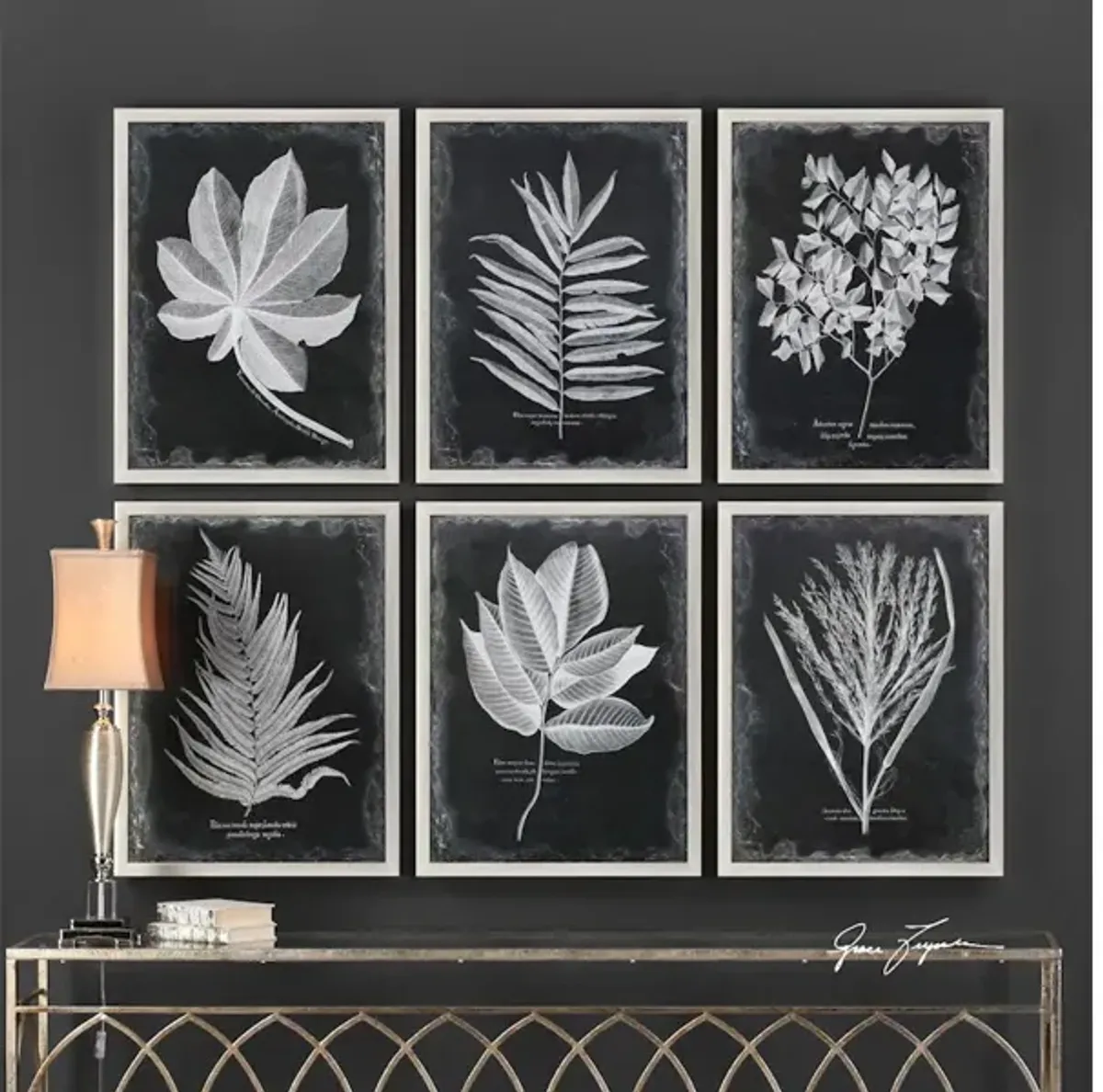 Foliage Framed Prints, S/6