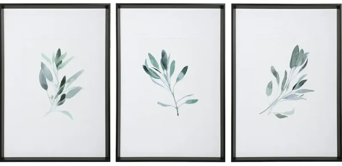 Simple Sage Watercolor Prints Set/3