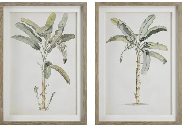 Banana Palm Framed Prints, Set/2